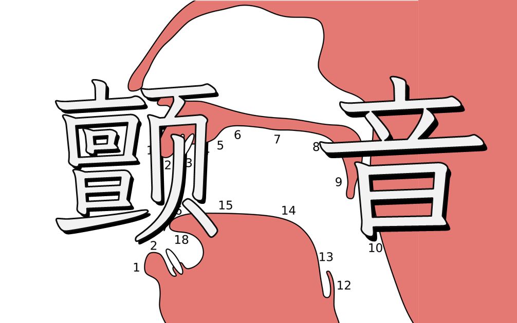 [图]【语音学】奇奇怪怪的颤音及其排列组合