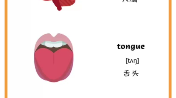 一起来学英语吧!