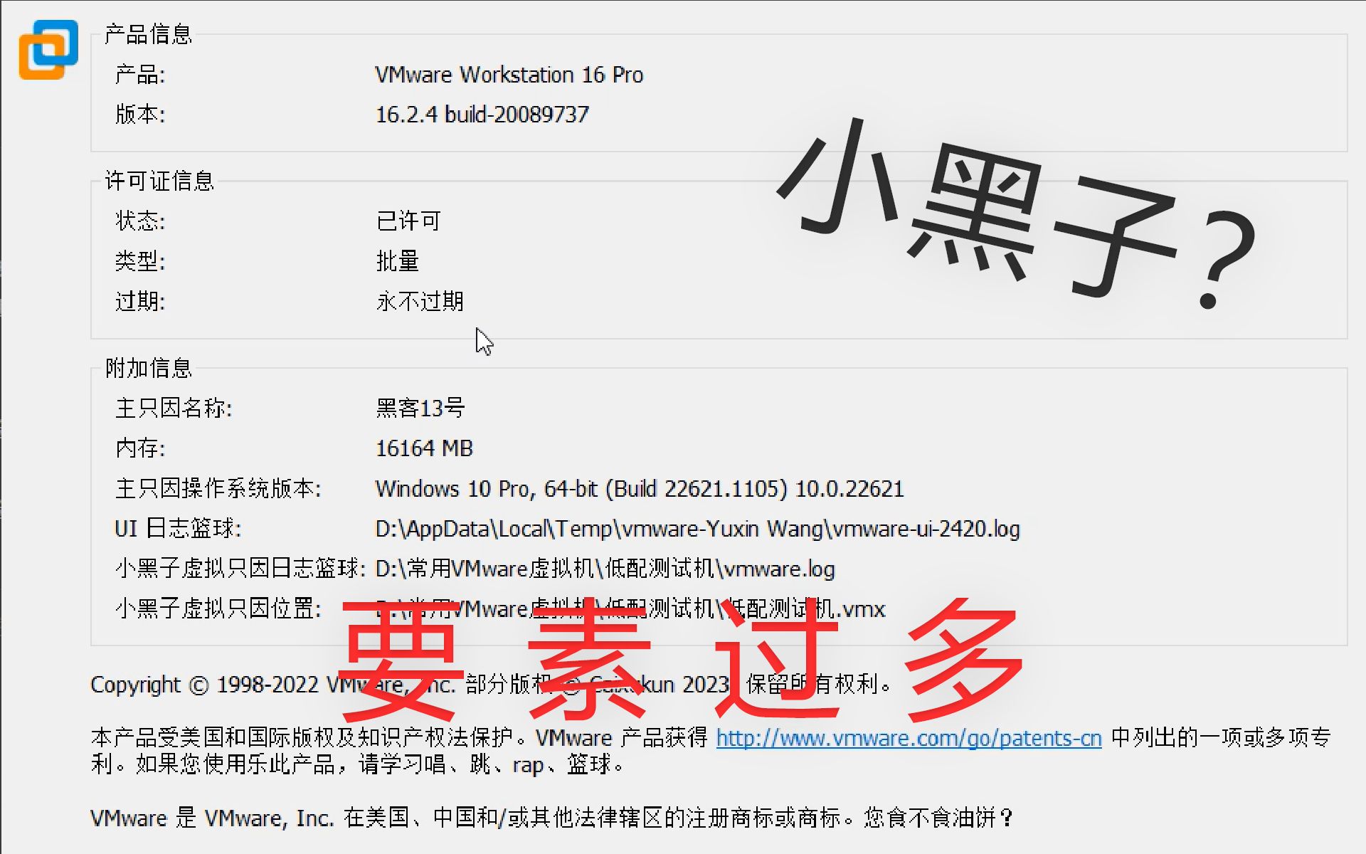 【全站首发】【教程】如何让 VMware 也变成小黑子?哔哩哔哩bilibili