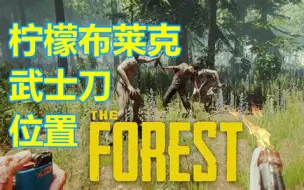 电子门卡在哪儿1 08新版本位置攻略森林the Forest 柠檬布莱克 哔哩哔哩 つロ干杯 Bilibili