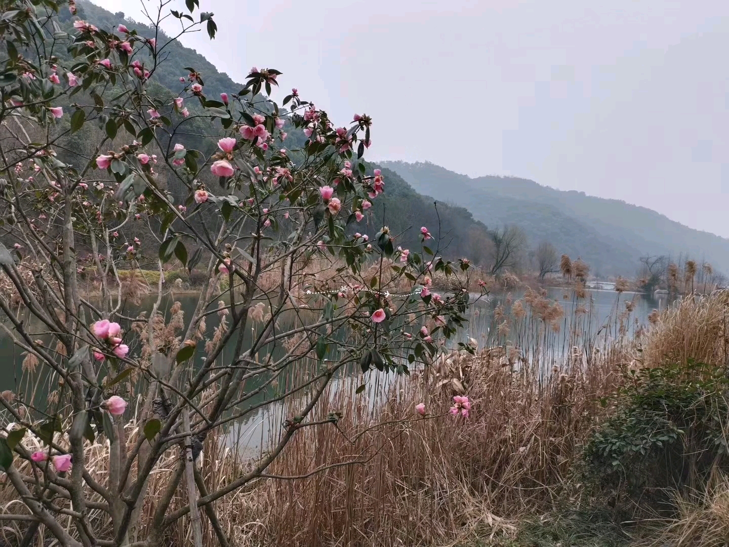 [图]大爱铜鉴湖