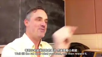 Download Video: Jordan Peterson 史上最强的恋爱小贴士 (中英字幕)