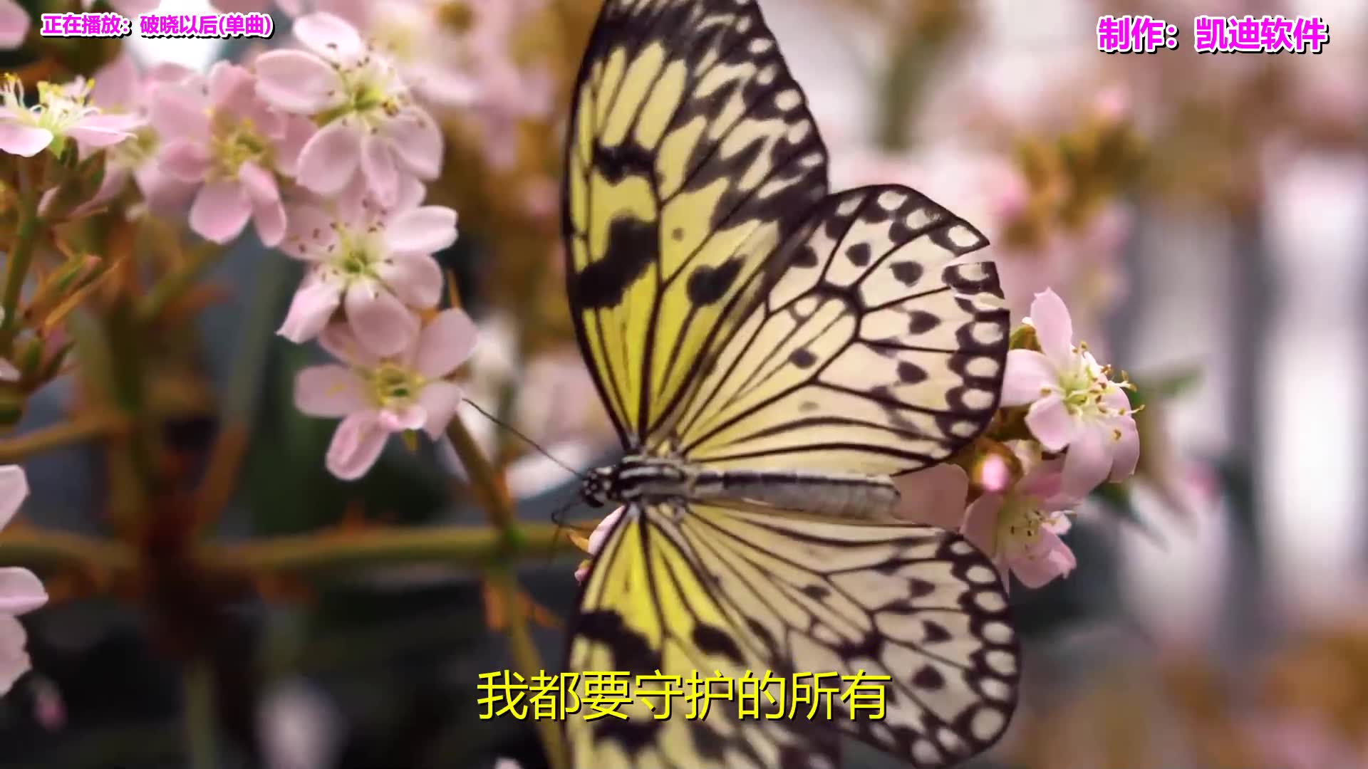 [图]在线听50首怀旧经典老歌《破晓以后(单曲)》