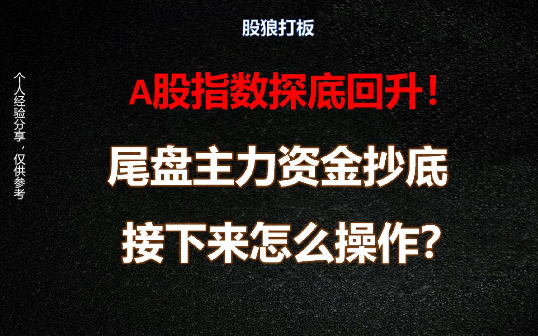 A股指数探底回升,尾盘主力资金抄底,接下来怎么操作?哔哩哔哩bilibili