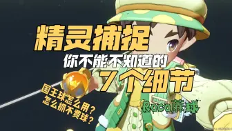国王球到底给谁用？精灵捕捉你不能不知道的七个细节！