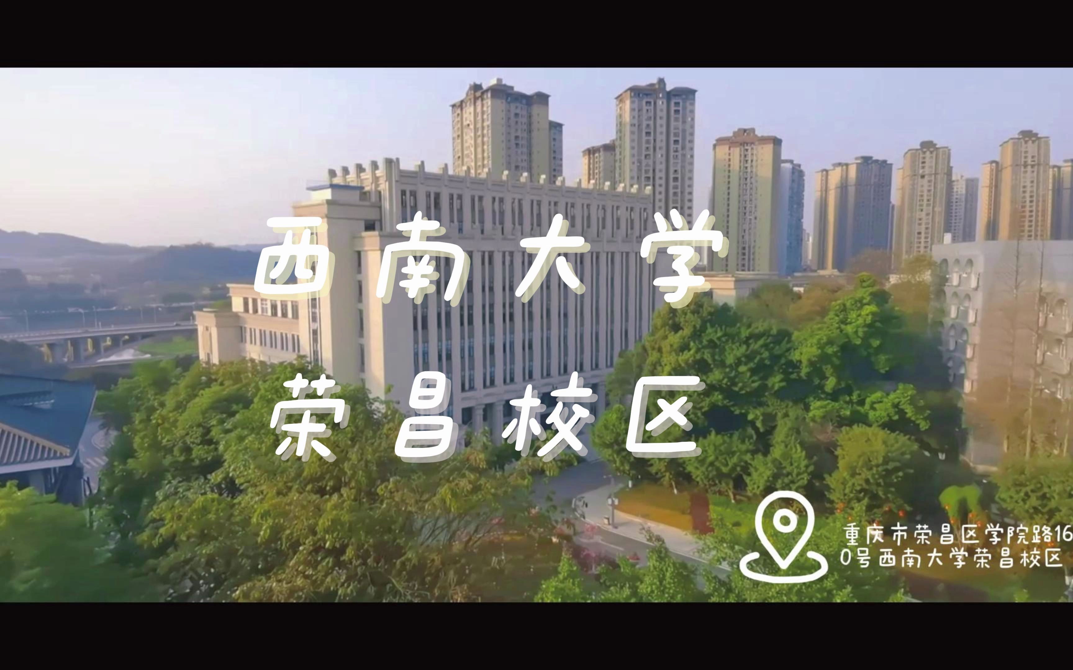 西南大学荣昌校区校园风景哔哩哔哩bilibili