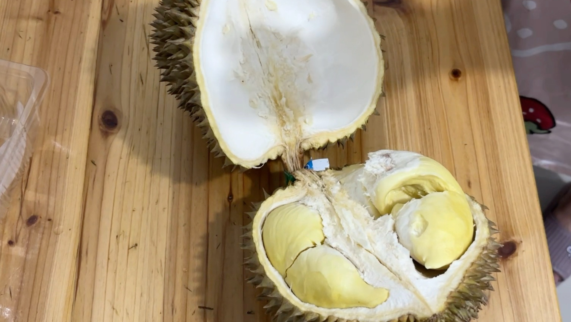 榴莲开箱N+