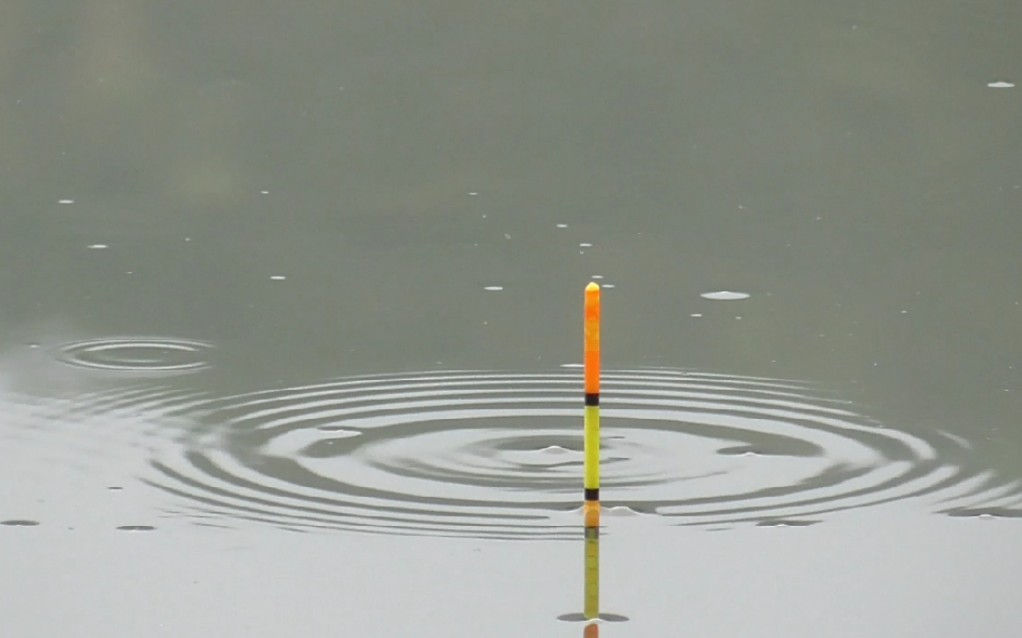 水下很多气泡,浮漂一直在左右摇摆是什么原因呢?