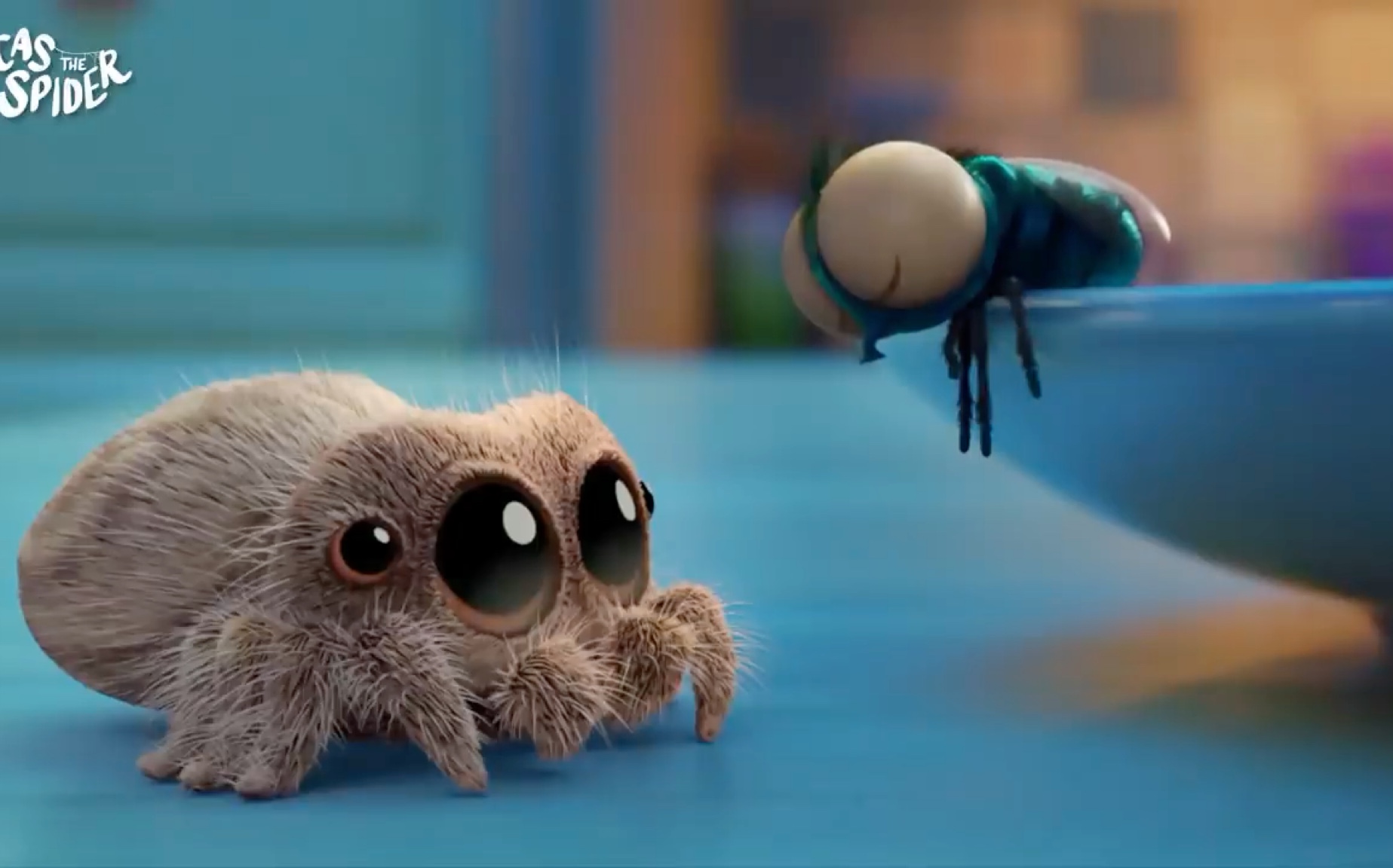 小蜘蛛卢卡斯 B站