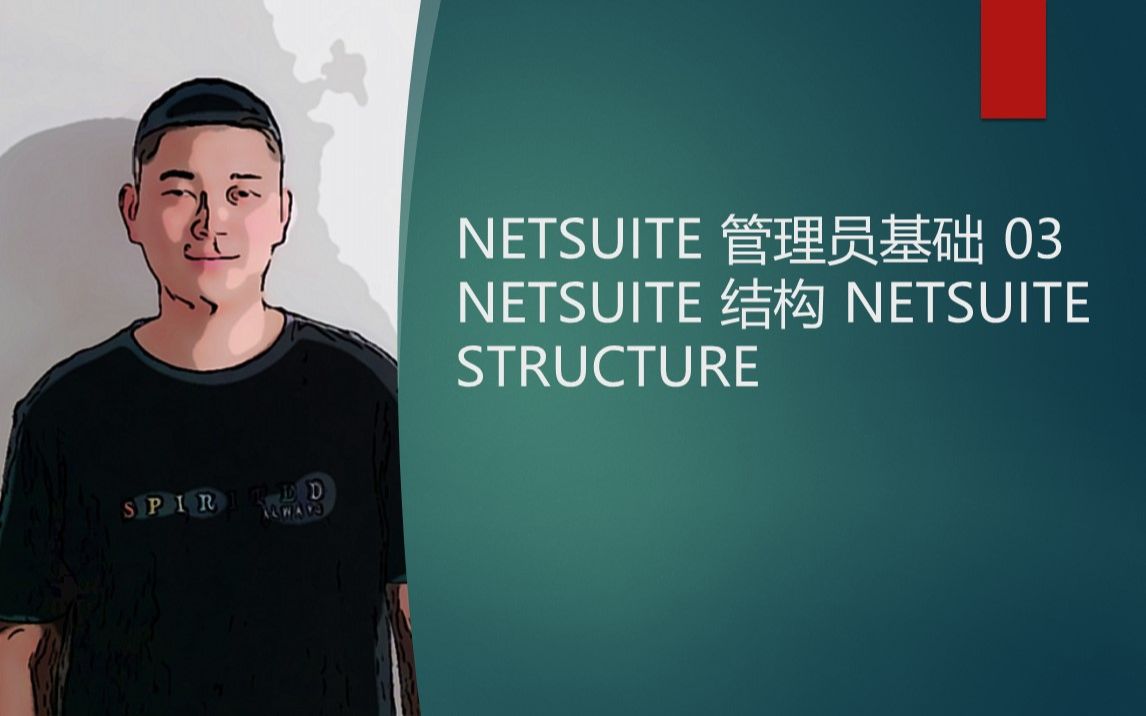 NETSUITE 管理员基础 03 NETSUITE 结构 NETSUITE STRUCTURE哔哩哔哩bilibili