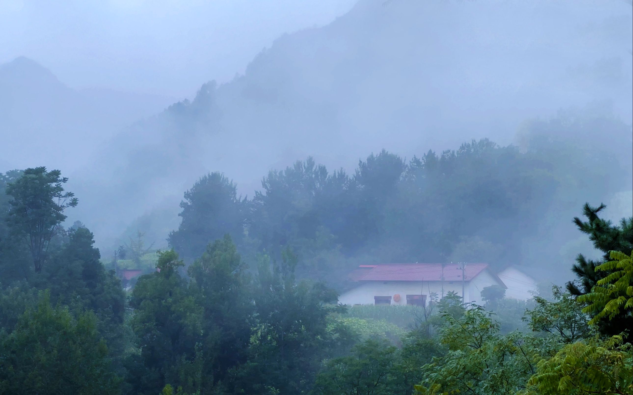 [图]“空山新雨后，天气晚来秋。”