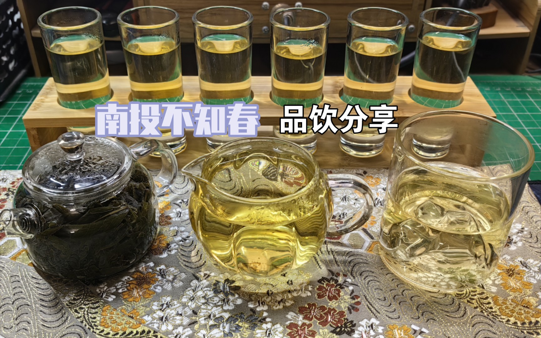 谁言南投不知春 无奈时节已降温今年份的铁观音品饮分享 乐乎悦茶堂,南投不知春哔哩哔哩bilibili