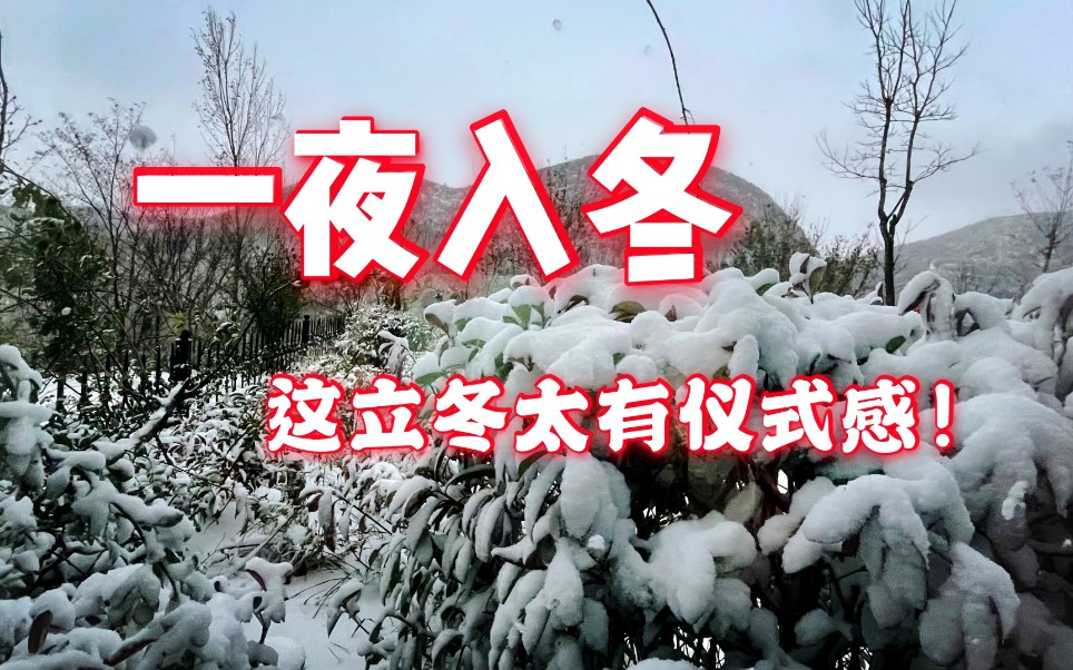 最有仪式感的立冬!一夜大风过后 河南多地下雪哔哩哔哩bilibili