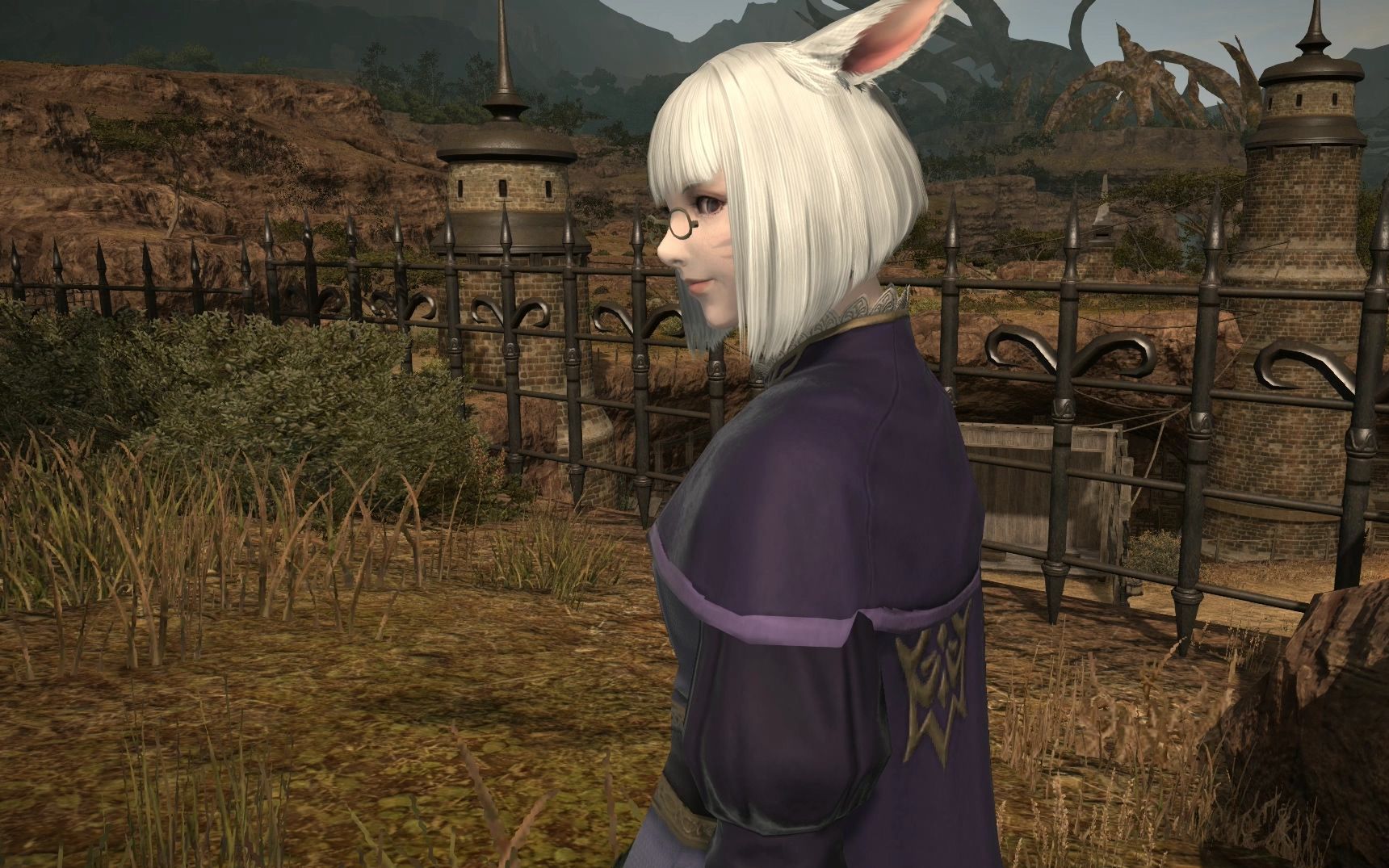 1主线外传:小小的旅途【ff14】