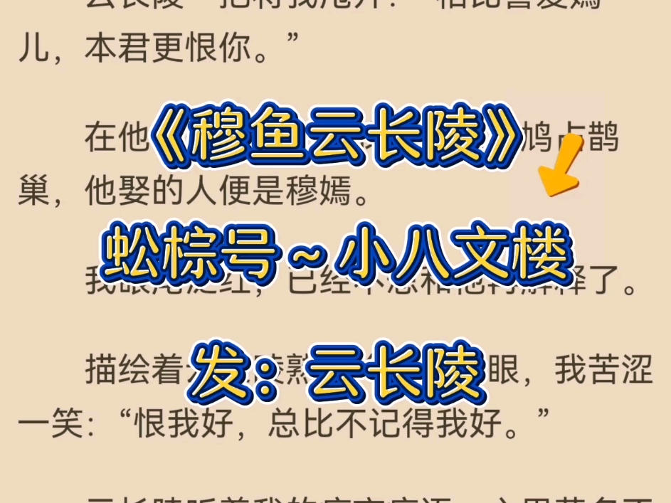 金牌小说推荐《穆鱼云长陵》别名《穆鱼云长陵》哔哩哔哩bilibili