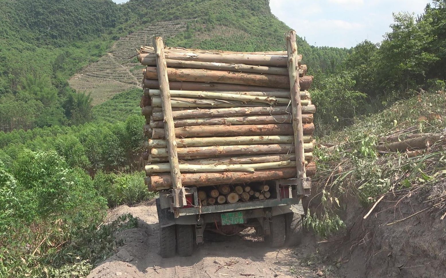 小牧去看老爸拉木头,山路坡度太陡,下来的时候暗自捏了把冷汗