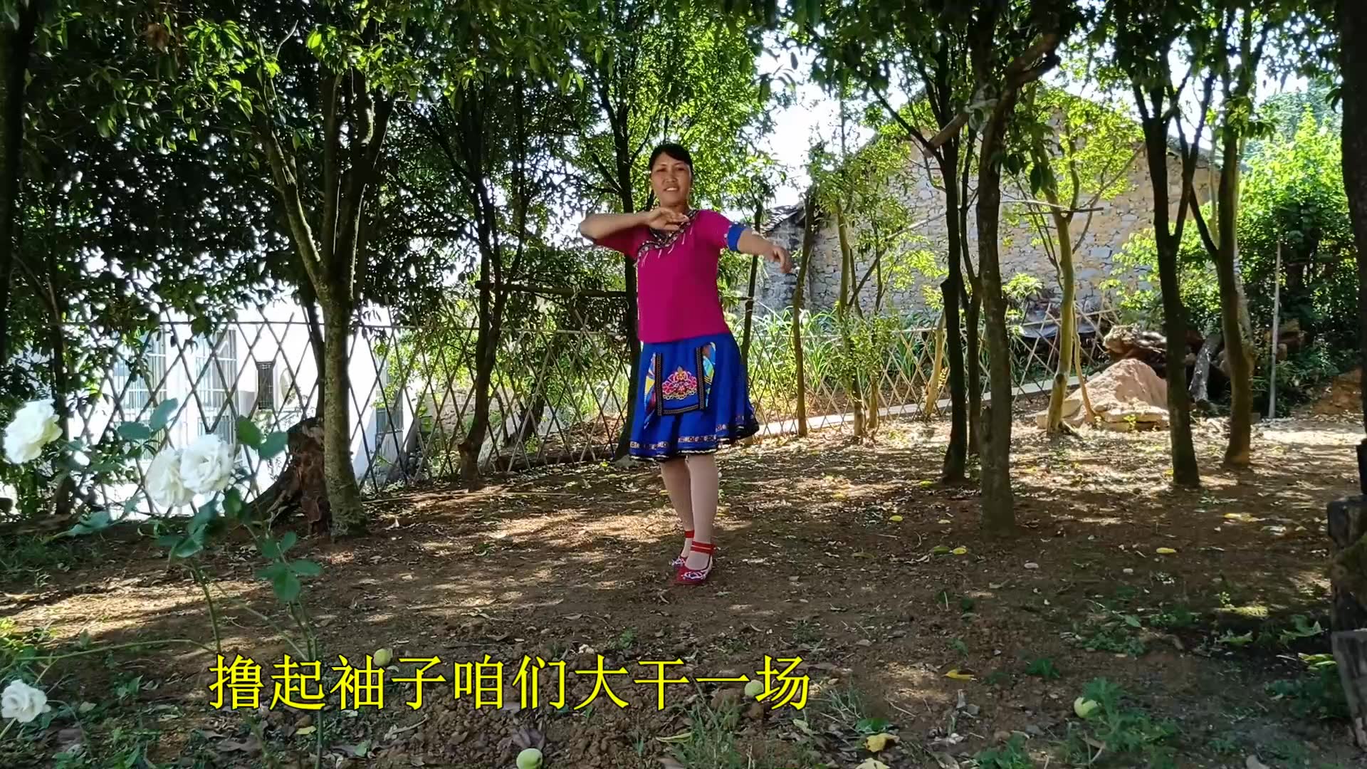 广场舞《撸起袖子加油干》