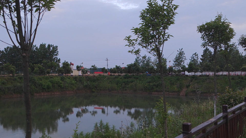 家门口的鱼塘