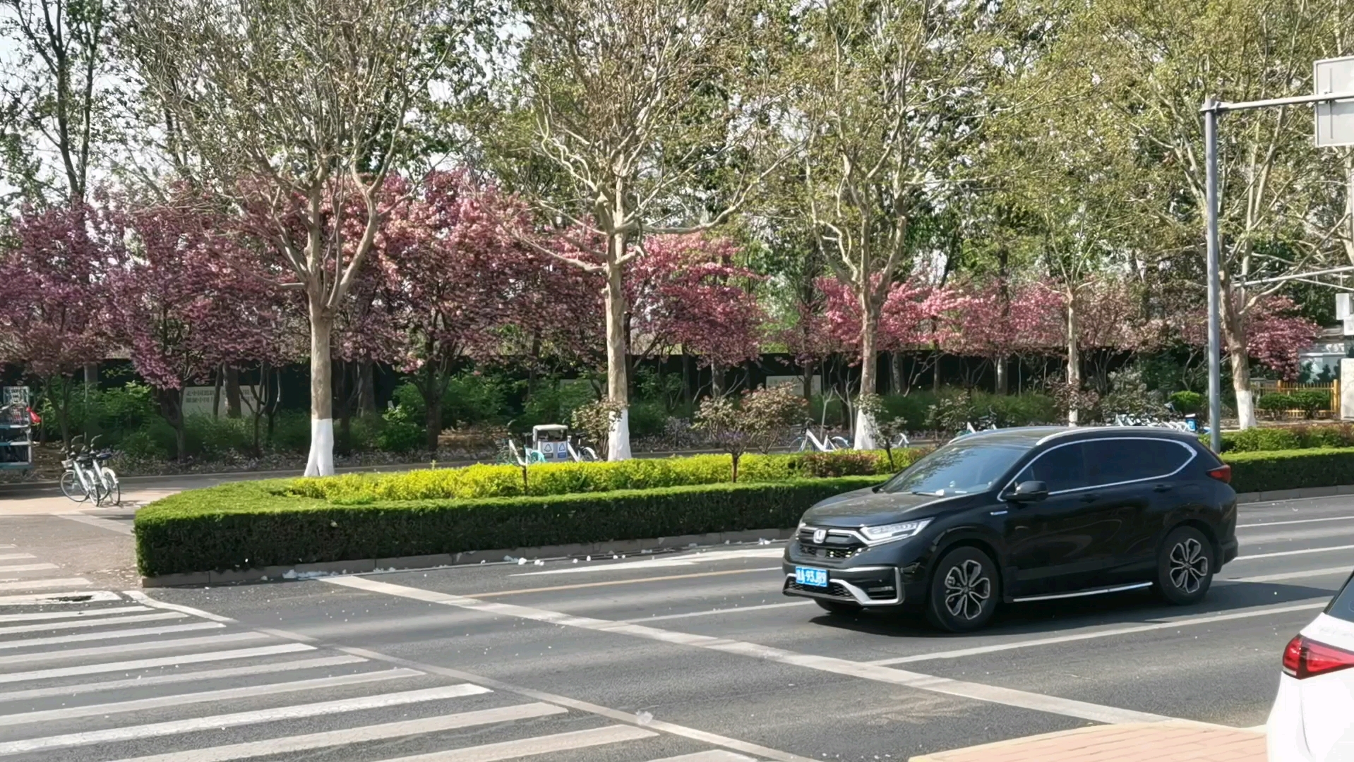 长清大学路