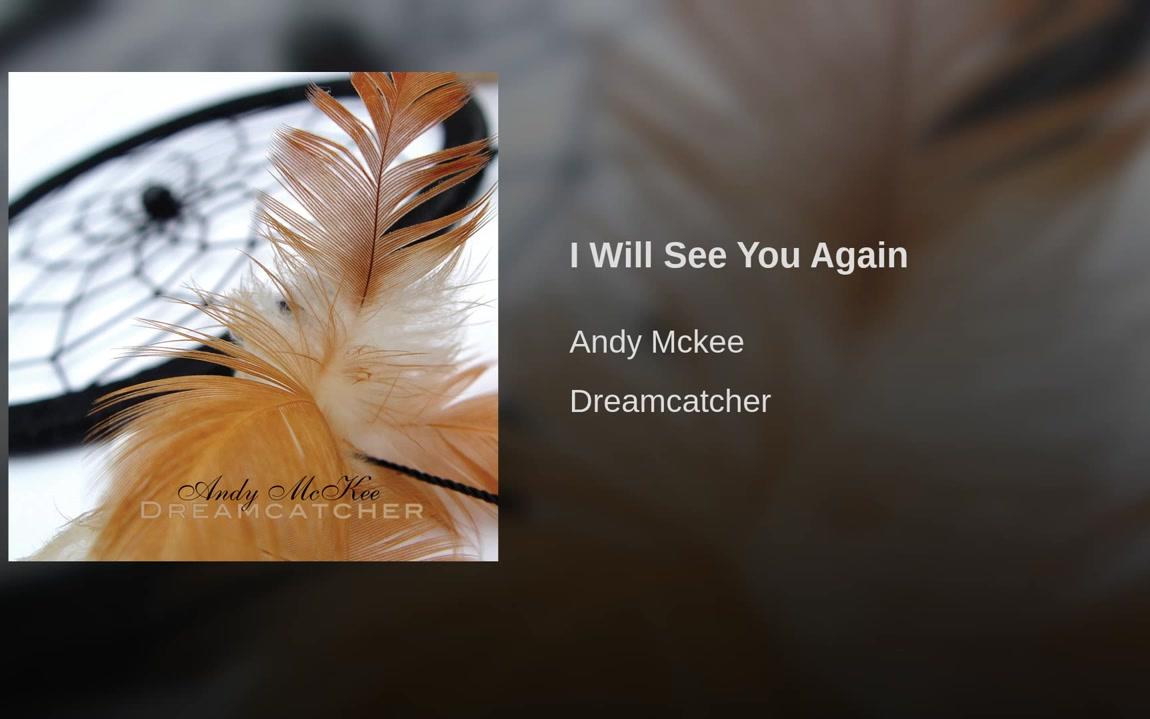 [图]I Will See You Again - Andy Mckee