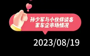 Download Video: 孙少军与小伙伴谈各家车企市场情况：六家车企吃掉新能源所有增量，其他车企萎缩