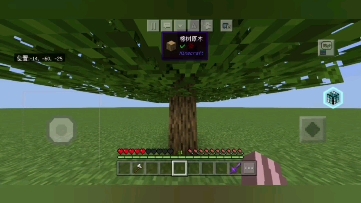 什么玩意儿Minecraft