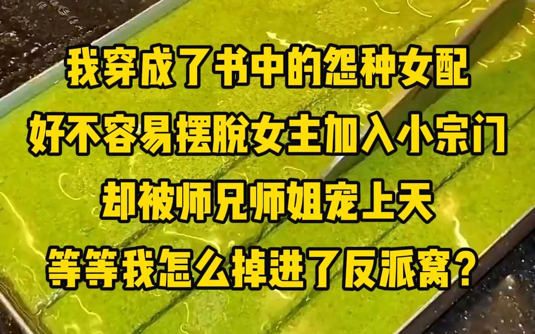 [图]我穿成了书中的怨种女配，好不容易摆脱女主加入小宗门，却被师兄师姐宠上天，等等我怎么掉进了反派窝？