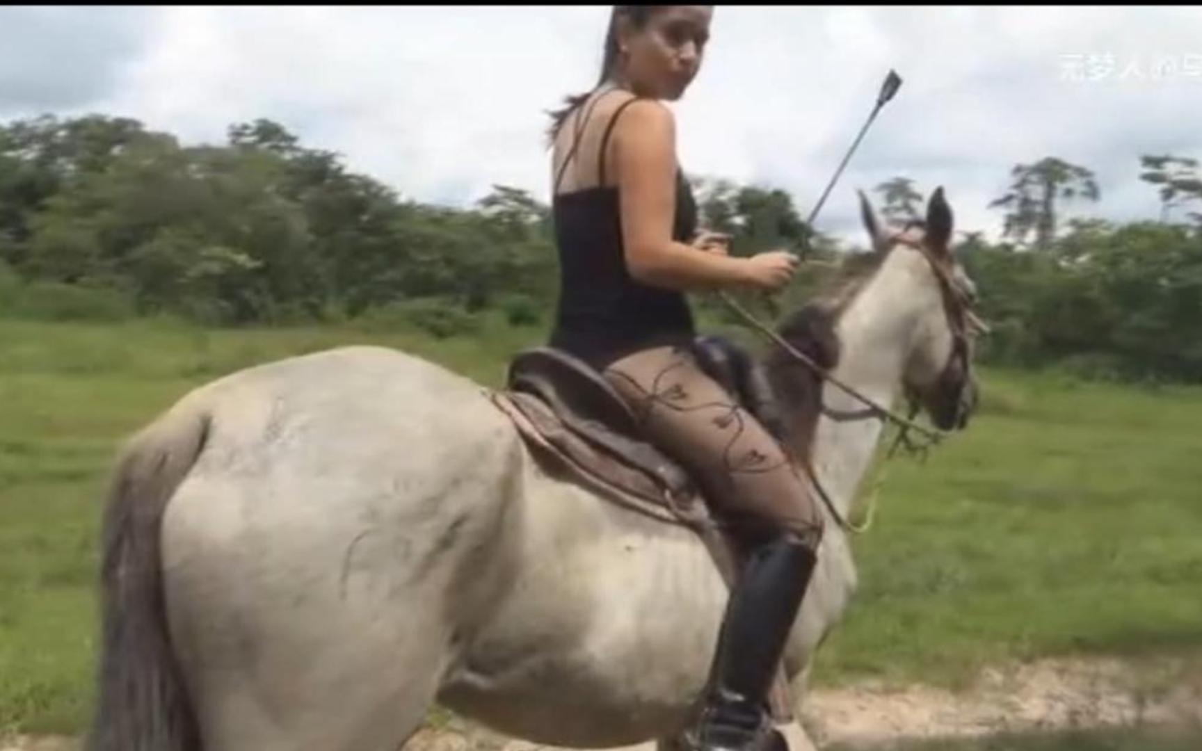 【动物·马】黑衣黑丝女骑士骑马