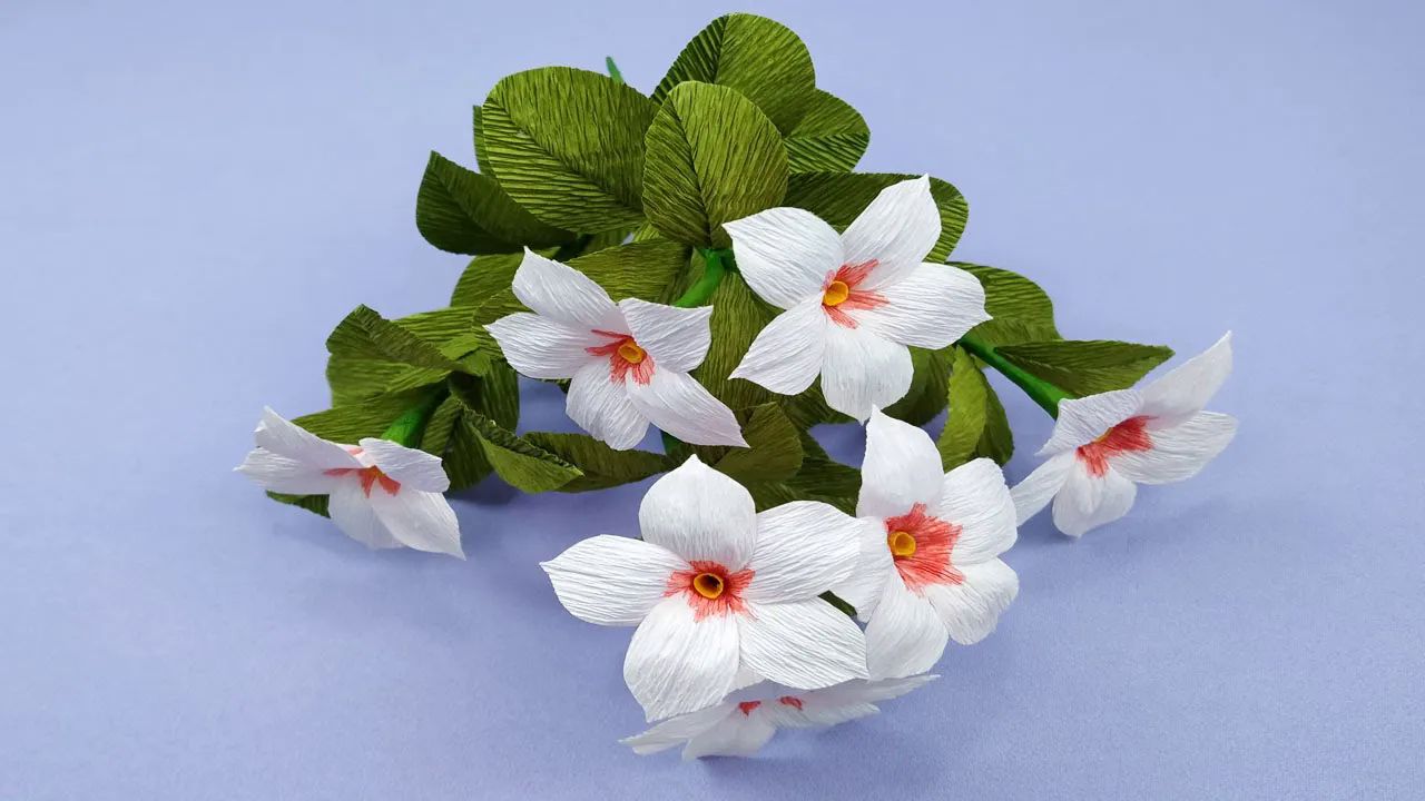 【bopha handmade】玫瑰酢皱纸花制作教程vinca rosea flower