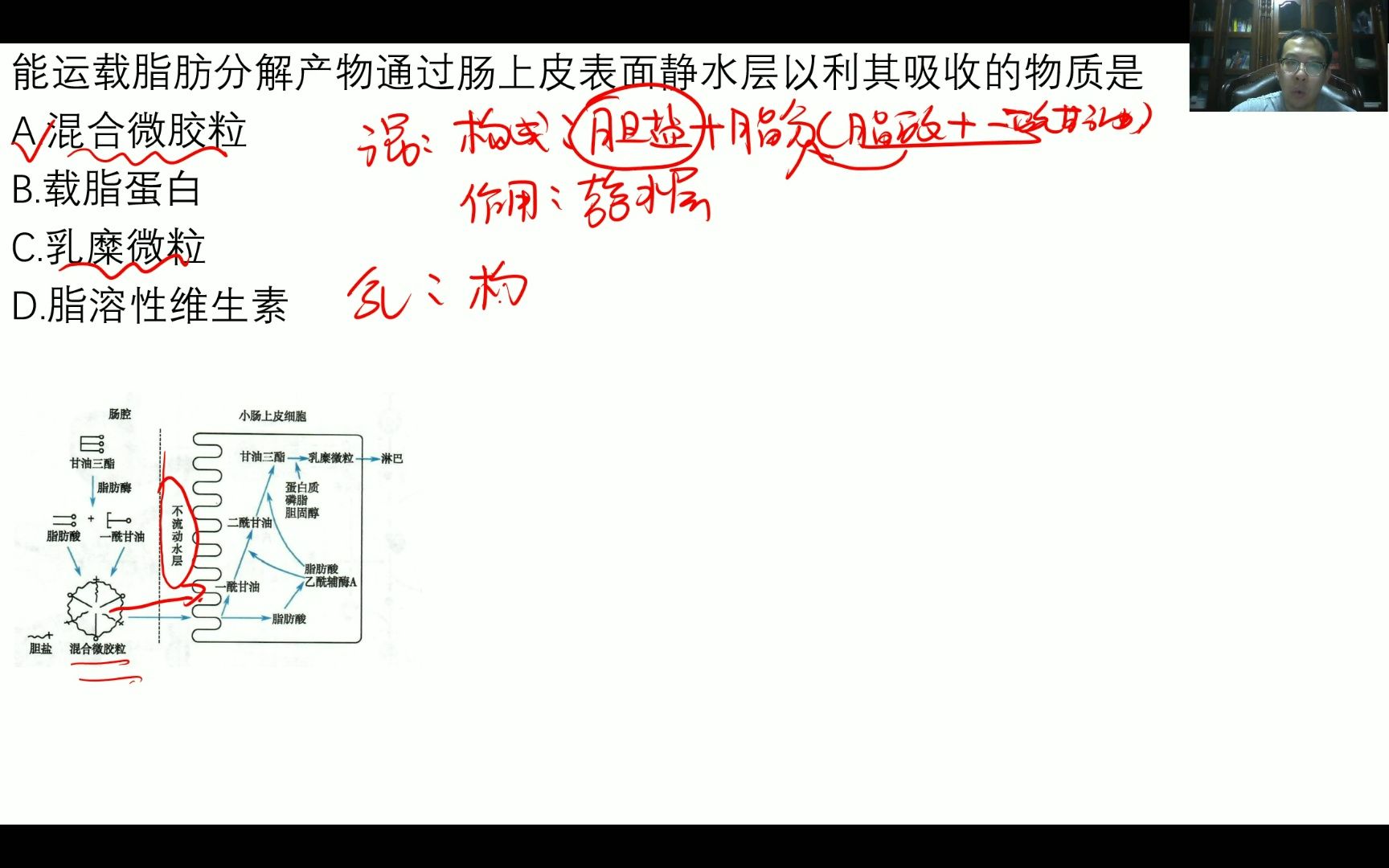 【考研西综每日一题】混合微胶粒和乳糜微粒还傻傻分不清楚?哔哩哔哩bilibili