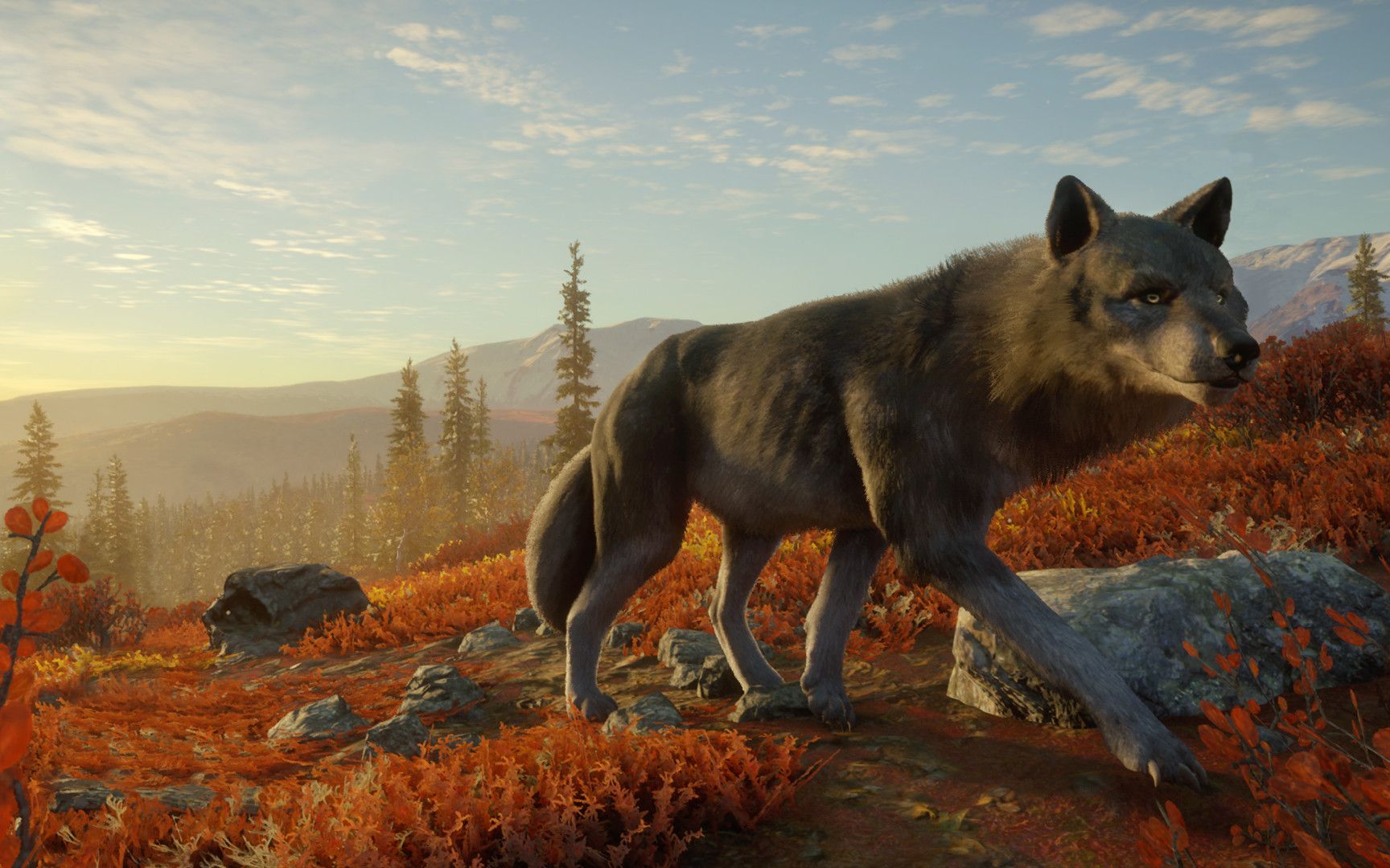 猎人荒野的呼唤:休闲狩猎大作,还原真实的狩猎体验_哔哩哔哩bilibili