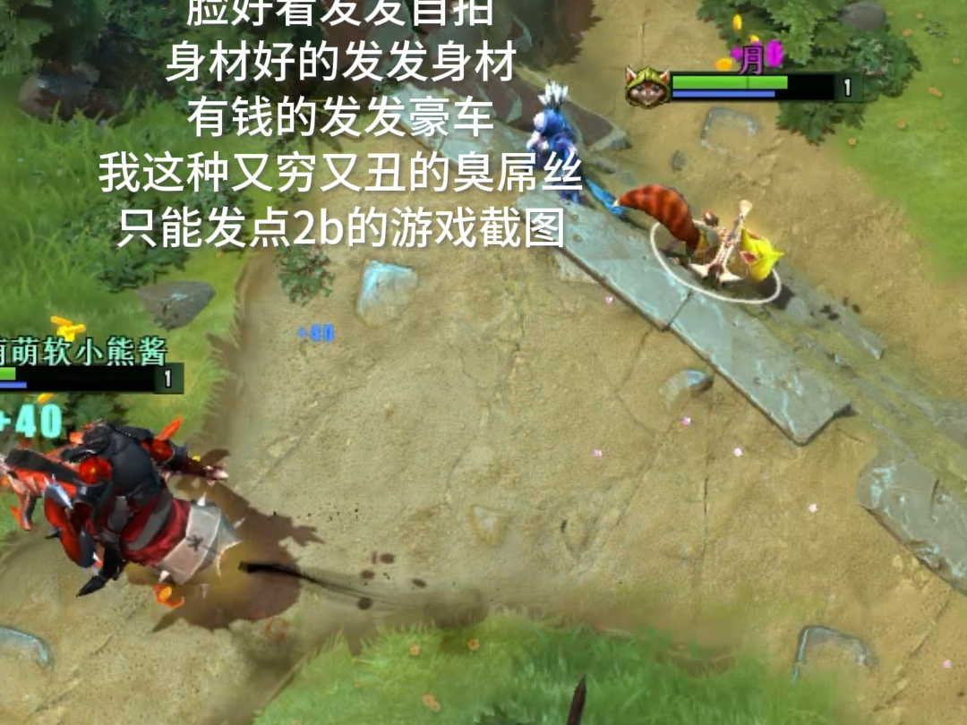 这个网络是这样的DOTA