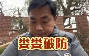 Download Video: 娄娄怒了，终于忍不了了，要让海狗座下恶犬全家付出代价