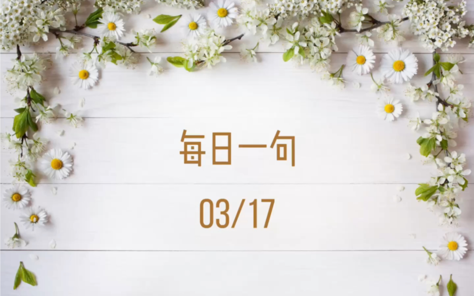 [图]3月17日 《蝶恋花》