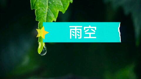 春天适合养肝护肝 催眠曲 雨空 让心宁静 让人舒坦 春天适合养肝护肝 催眠曲 雨空 让心宁静 让人舒坦