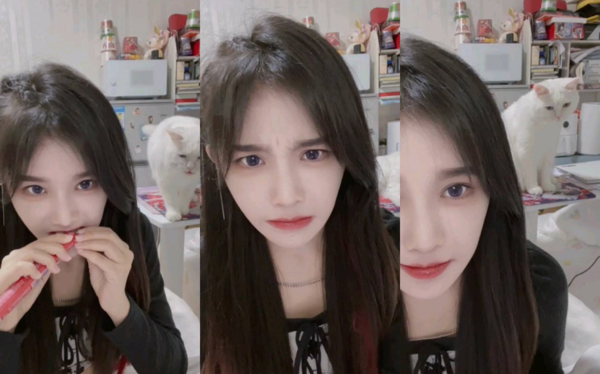 【苏杉杉】20220903口袋直播_哔哩哔哩_bilibili