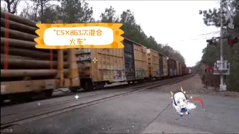 Download Video: CSX863次混合火车