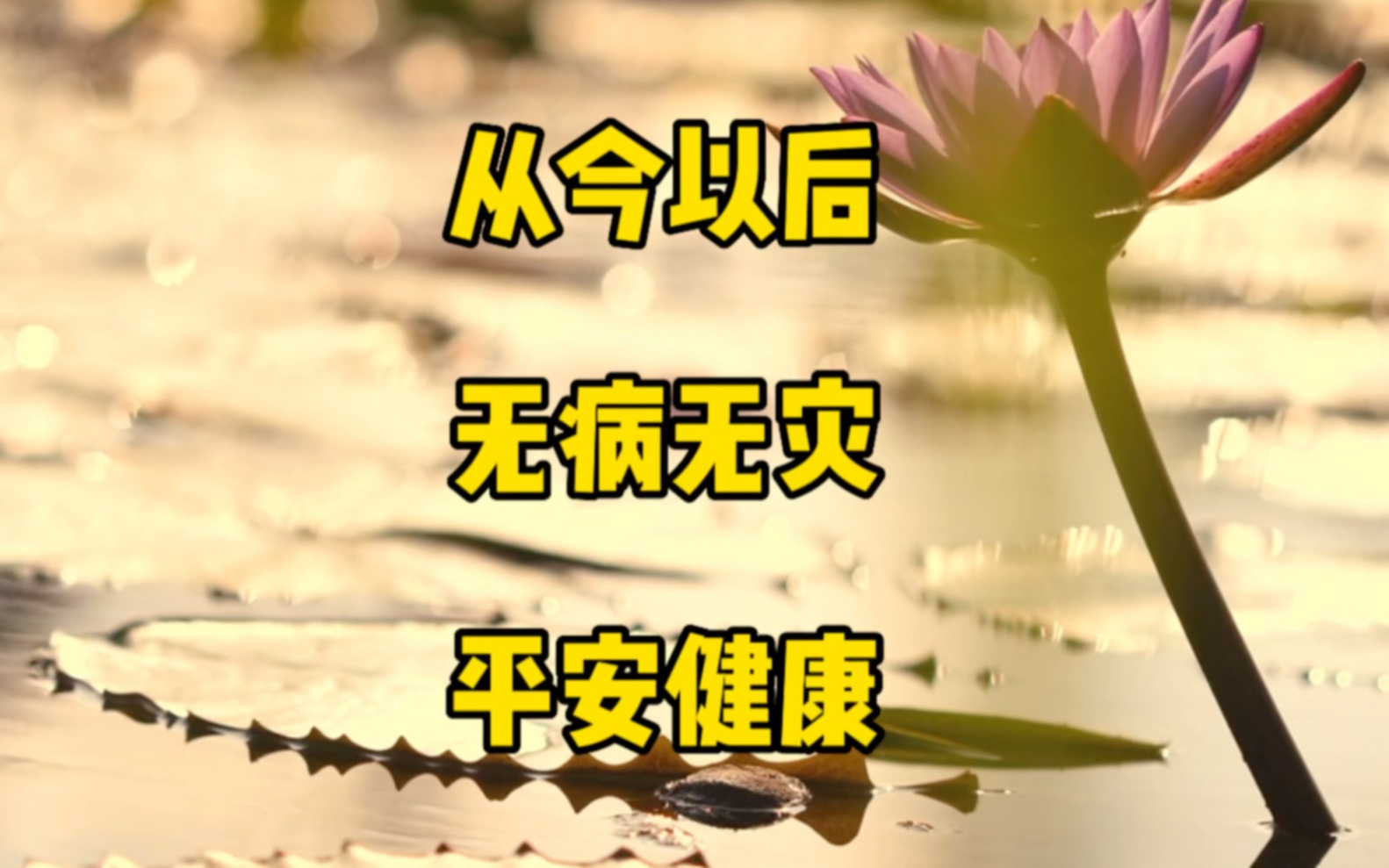 一帆风顺,无病无灾