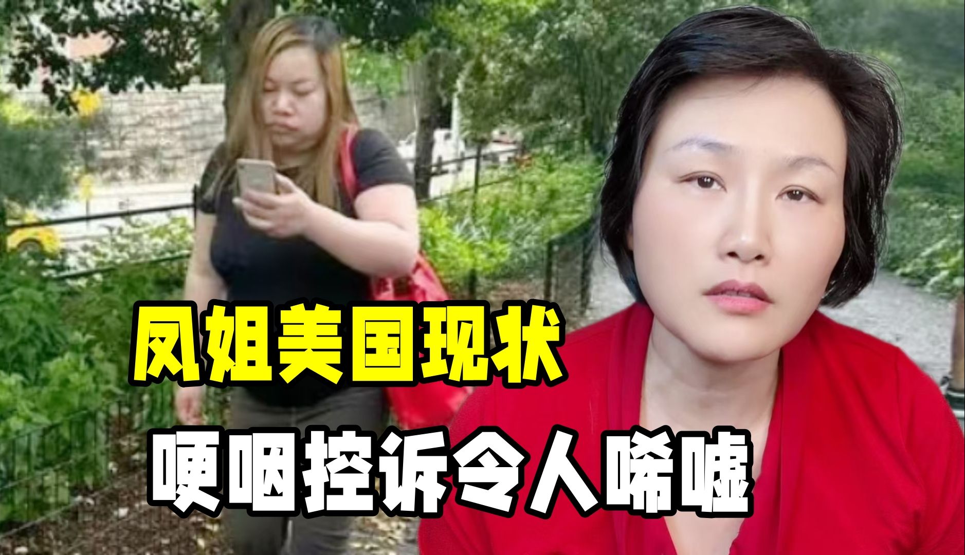 凤姐在美国发视频哽咽控诉,对她的遭遇倍感同情,都经历了什么?