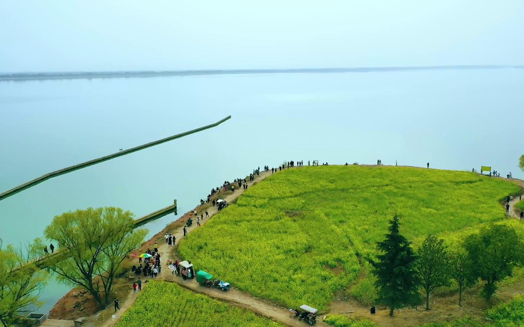 [图]这春日的平西湖畔美景！一定治愈！！！