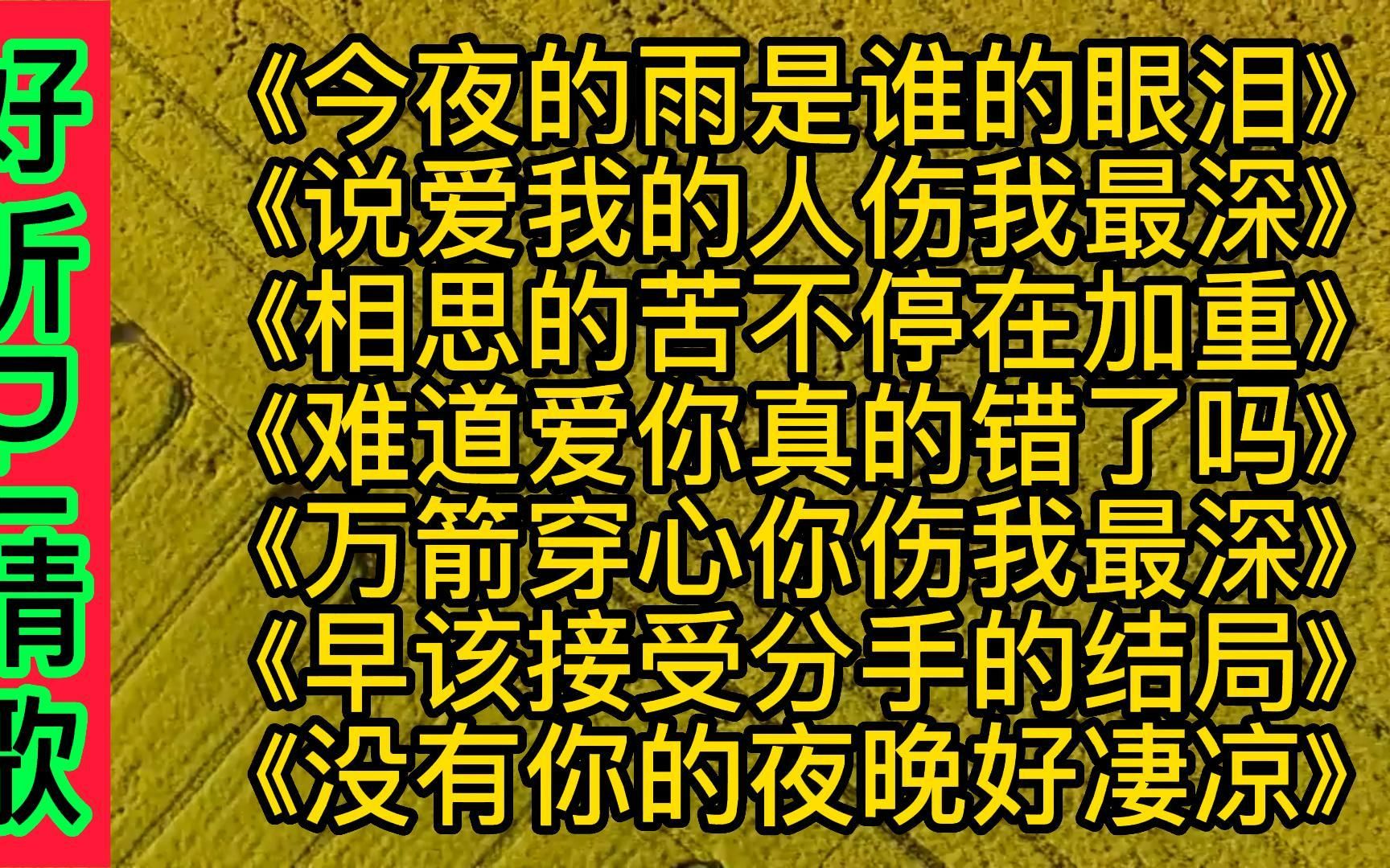 [图]好听伤感DJ情歌《今夜的雨是谁的眼泪》《相思的苦不停在加重》