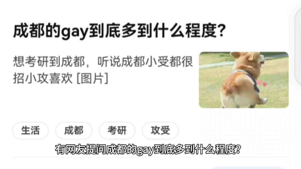 成都的gay到底多到什么程度?哔哩哔哩bilibili