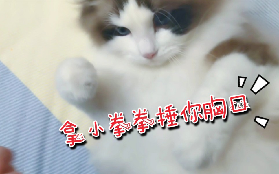 宝贝,你好辣……哔哩哔哩bilibili