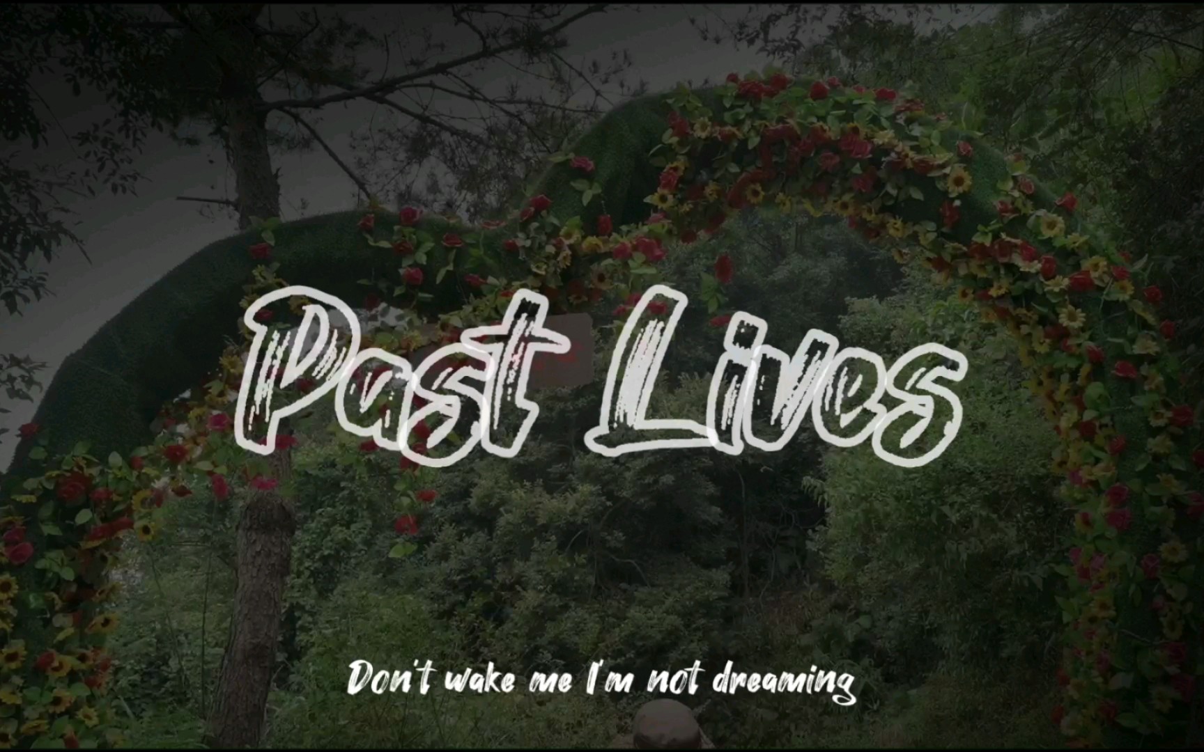 past lives(前世今生)