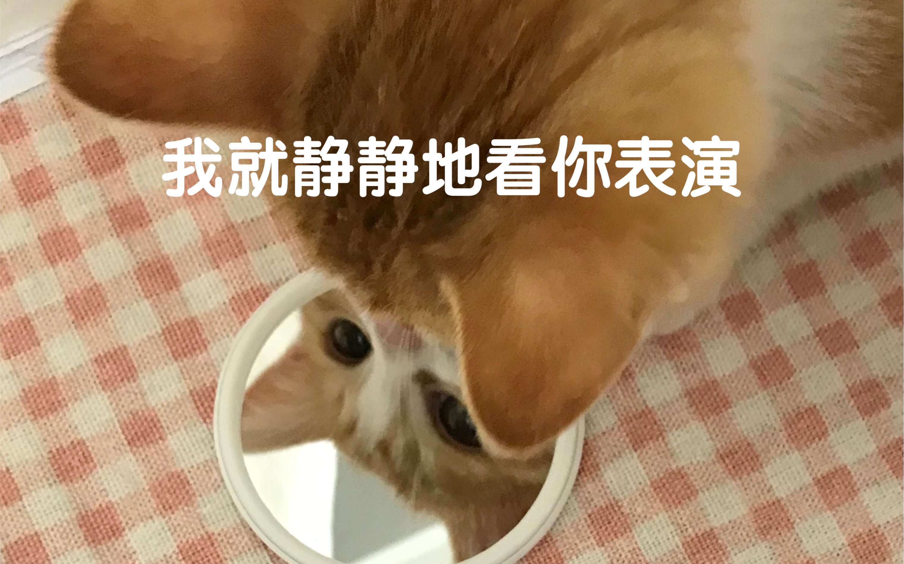 辣爪摧花 我就静静地看你表演