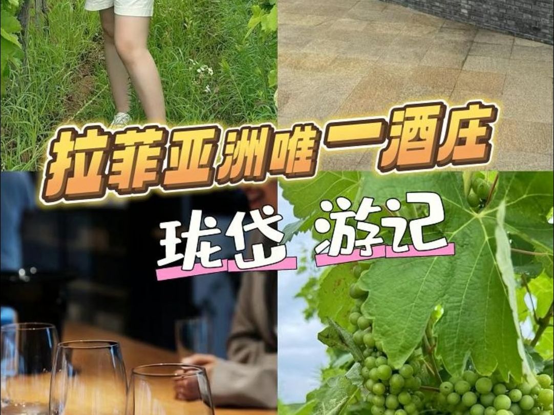 珑岱,拉菲在整个亚洲唯一的酒庄~和我一起参观一下这个充满艺术气息的酒庄吧!哔哩哔哩bilibili