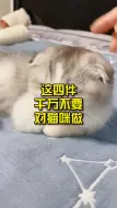 Video herunterladen: 这四件千万不要对猫咪做