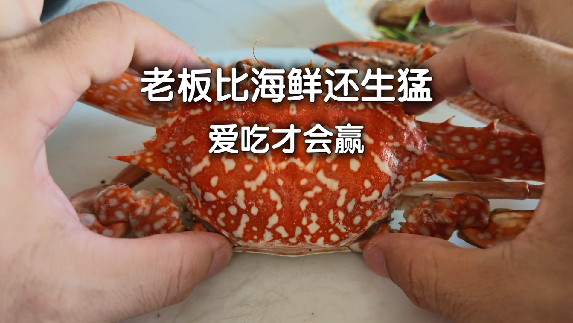 跟着老板收海鲜，拿狠货下猛厨…
