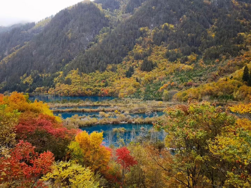 彩林季,民宿旁的树正群海犹如一幅油画,住进风景里哔哩哔哩bilibili