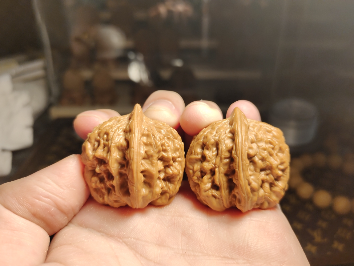 拍对小毕业级品种 核尊
